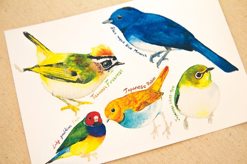 鸟 手绘 水彩 C 明信片 - 卡片/明信片 - 纸 