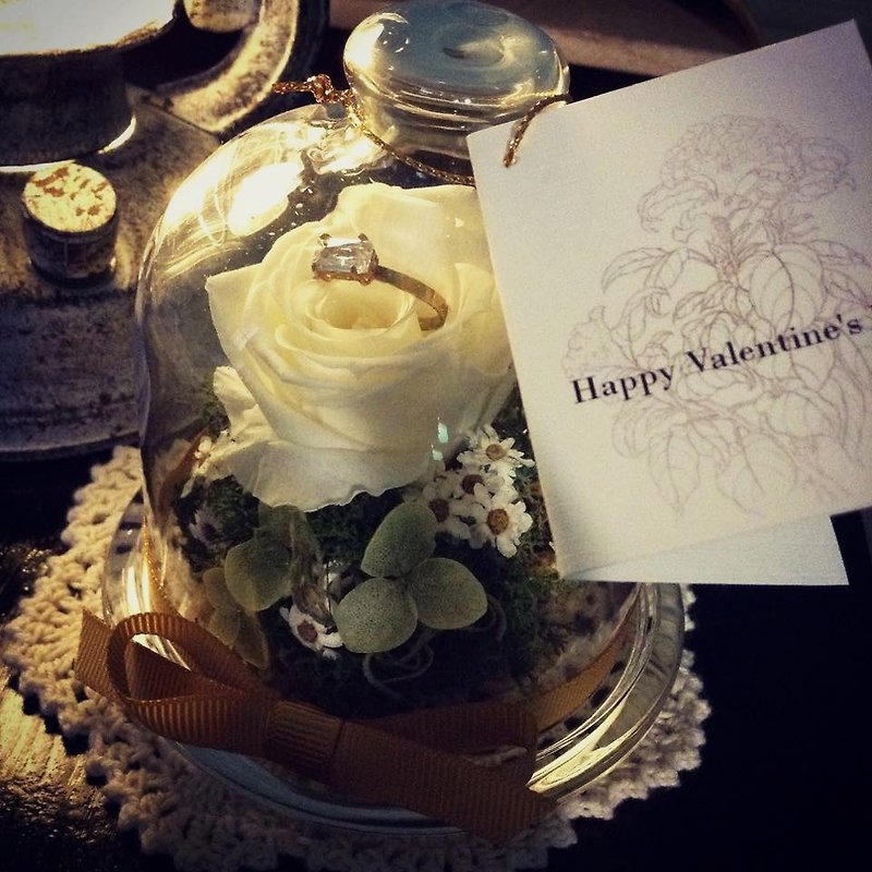 象牙白恒星玫瑰花园玻璃蛋糕罩(不含饰品) - 植栽/盆栽 - 植物．花 白色