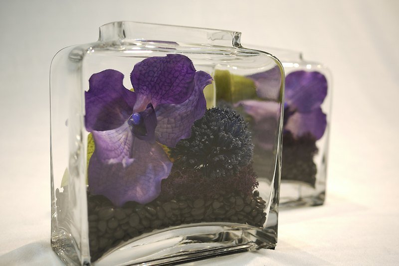 玻璃系浪漫紫 - 植栽/盆栽 - 玻璃 