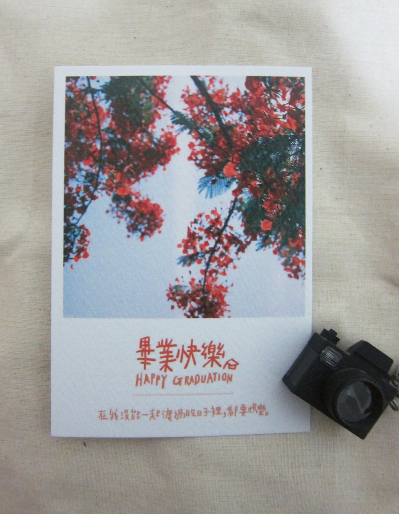 毕业快乐 /Magai's postcard - 卡片/明信片 - 纸 红色