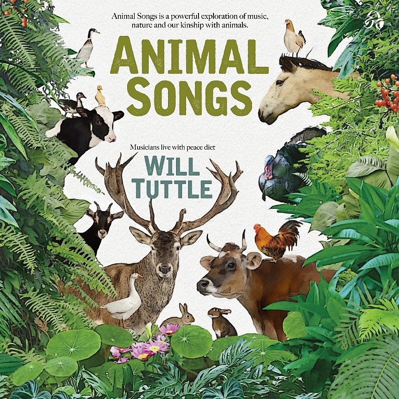 动物在歌唱 CD - 其他 - 其他材质 