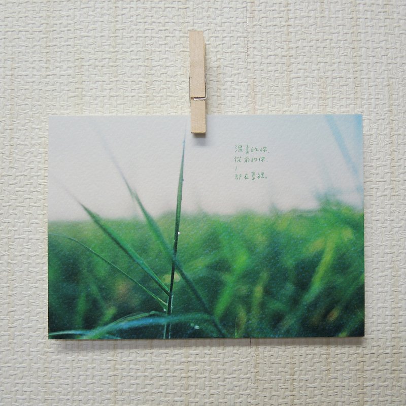 都在梦里/ Magai's postcard - 卡片/明信片 - 纸 绿色