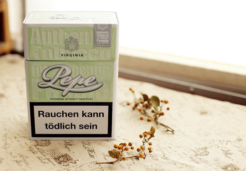 【好日恋物】德国VINTAGE淡绿色菸盒 - 收纳用品 - 其他金属 绿色