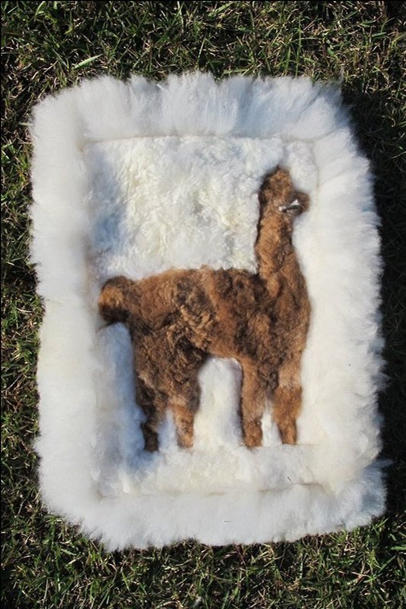 Alpaca 100% 小方形毛料坐垫 挂毯 - 摆饰 - 其他材质 白色