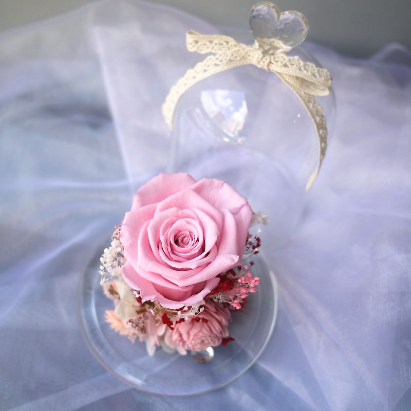 伊登花室 永生粉玫瑰 玻璃罩永生花 干燥桌花 - 干燥花/捧花 - 植物．花 粉红色