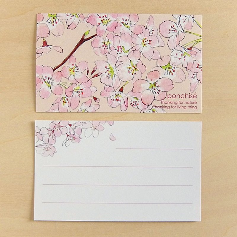 ミニカード　桜 - 卡片/明信片 - 纸 粉红色