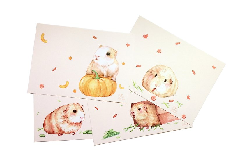纸 卡片/明信片 粉红色 - 天竺鼠 万用卡片明信片组 蔬菜南瓜治愈系小动物 PUI PUI