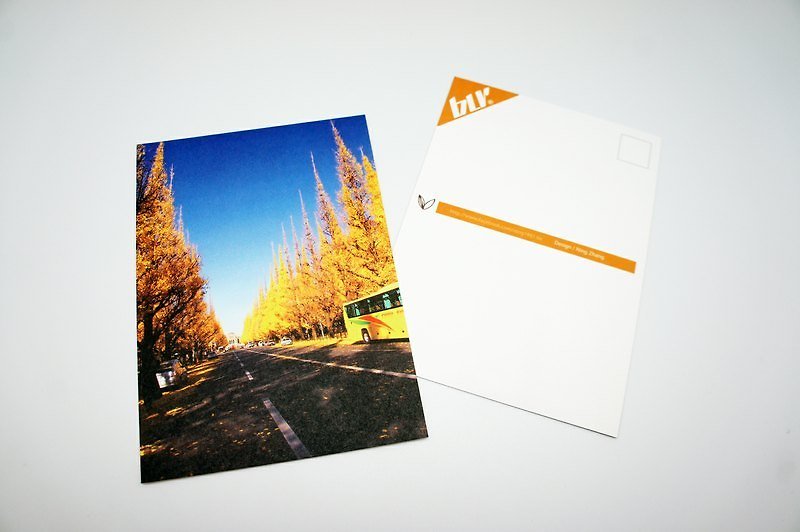 BLR 联名款 Ning Zhang 摄影 明信片 - 卡片/明信片 - 纸 橘色