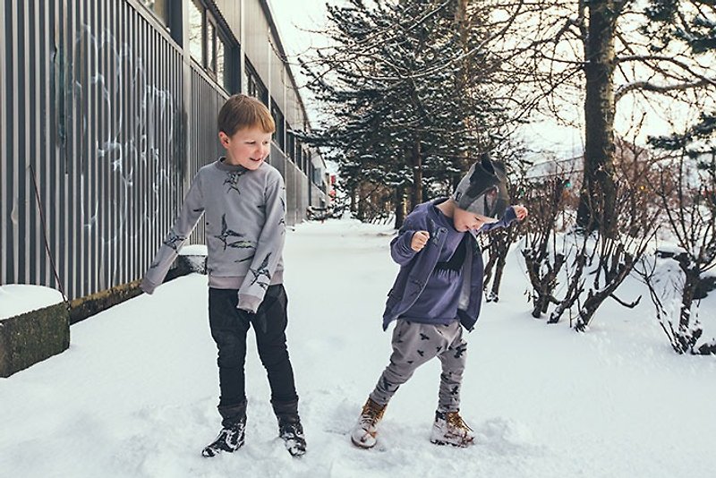 【北欧童装】冰岛有机棉内铺棉上衣2岁至8岁灰色渡鸭手绘 - 童装上衣 - 棉．麻 灰色