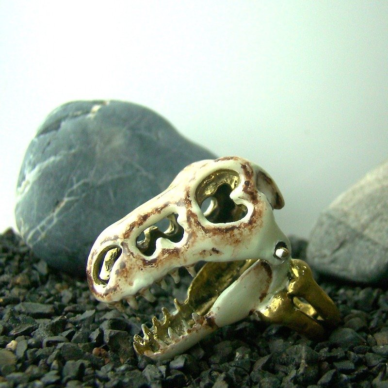 Realistic T-rex skull in brass and enamel color ,Rocker jewelry ,Skull jewelry,Biker jewelry - 戒指 - 其他金属 