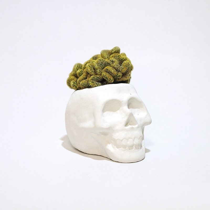 Skull -头颅盆(不含植物) - 植栽/盆栽 - 水泥 绿色
