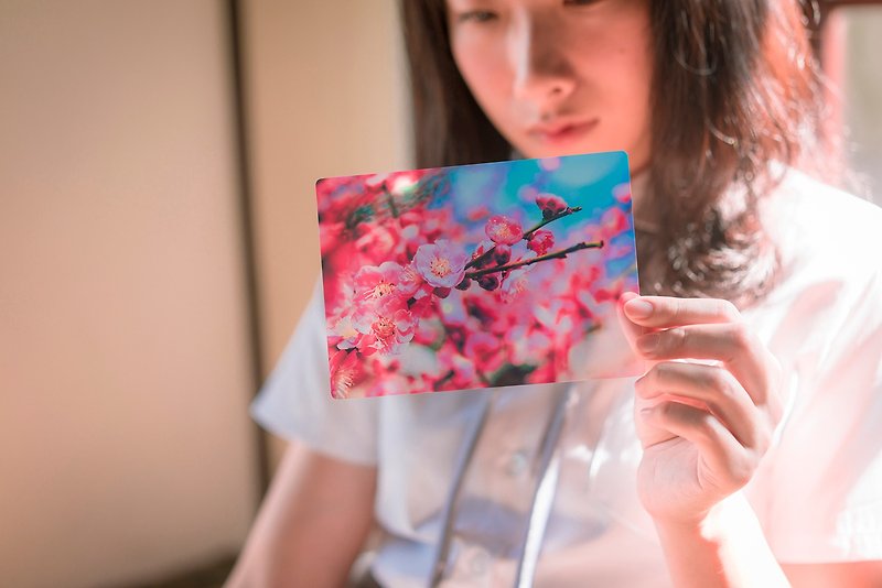 クリアポストカード 豊かな自由 - 卡片/明信片 - 压克力 粉红色
