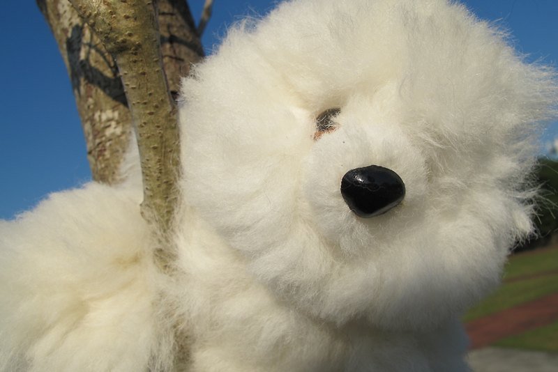 Alpaca 100% 毛料手工缝制 小泰迪熊娃娃 - 玩偶/公仔 - 其他材质 白色