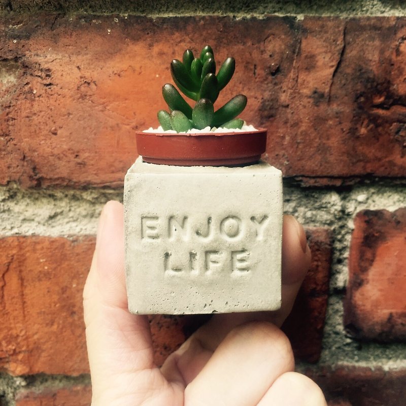 Enjoy Life~(享乐人生) 磁铁多肉盆栽 - 植栽/盆栽 - 水泥 灰色