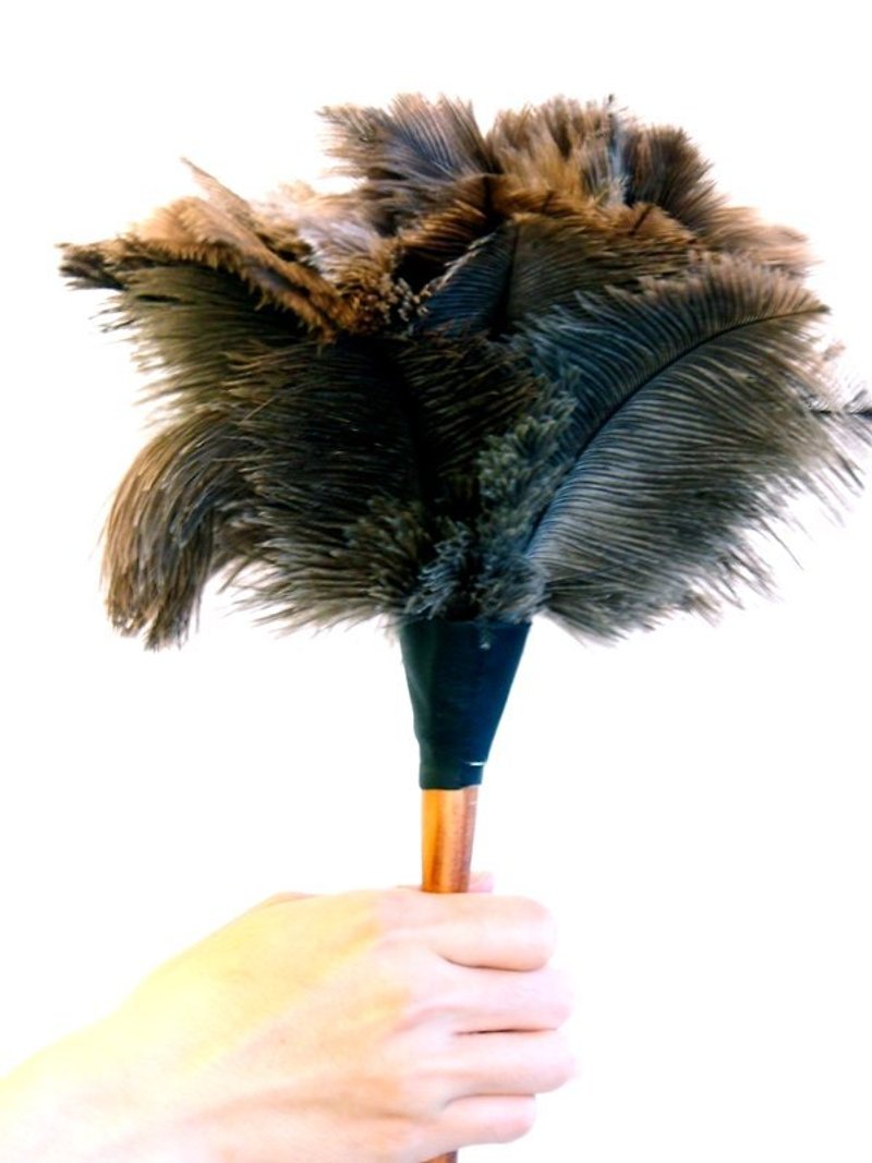 REDECKER鸵鸟毛刷s 35cm - 其他 - 其他材质 黑色