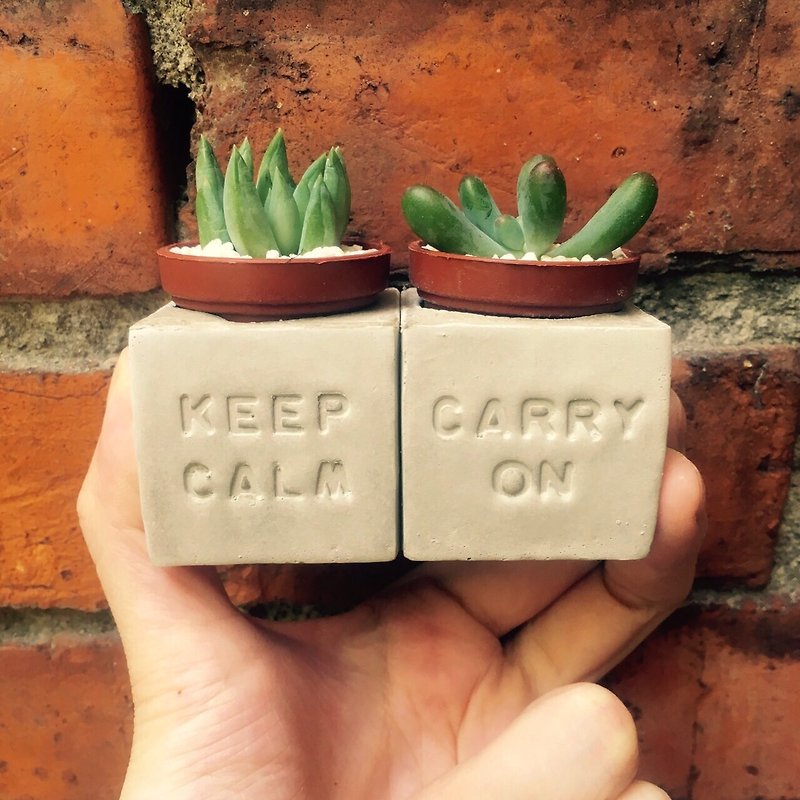 Keep Calm&Carry on 保持冷静 坚持下去 磁铁盆栽组 - 植栽/盆栽 - 水泥 灰色