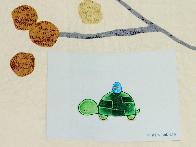 Oaklets 小乌龟 明信片 - 卡片/明信片 - 纸 绿色