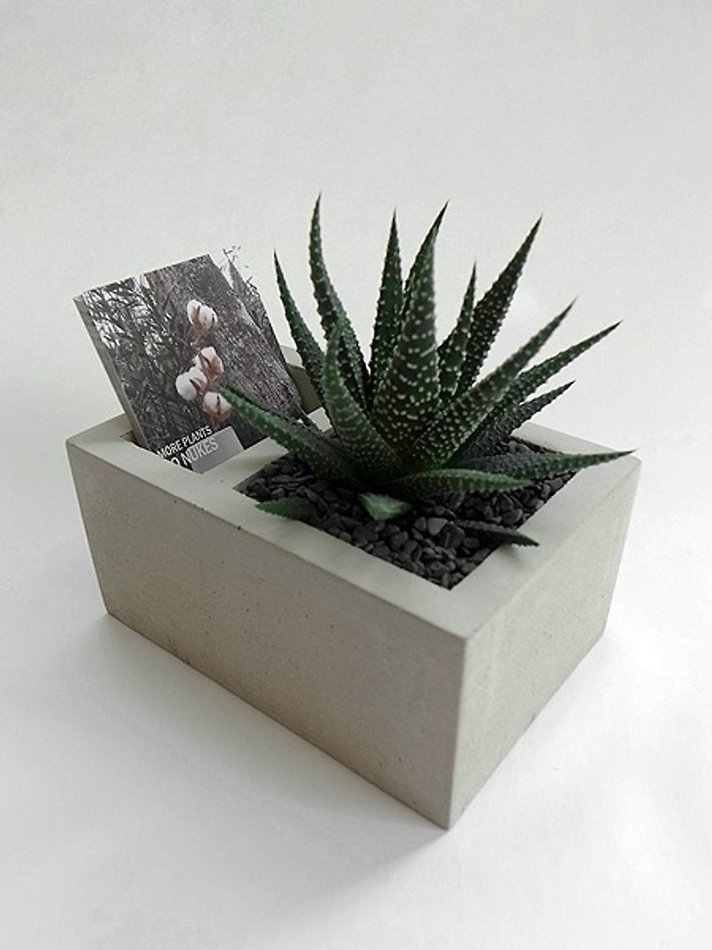 双格水泥花器名片台(不含植物、石、土) - 植栽/盆栽 - 水泥 灰色