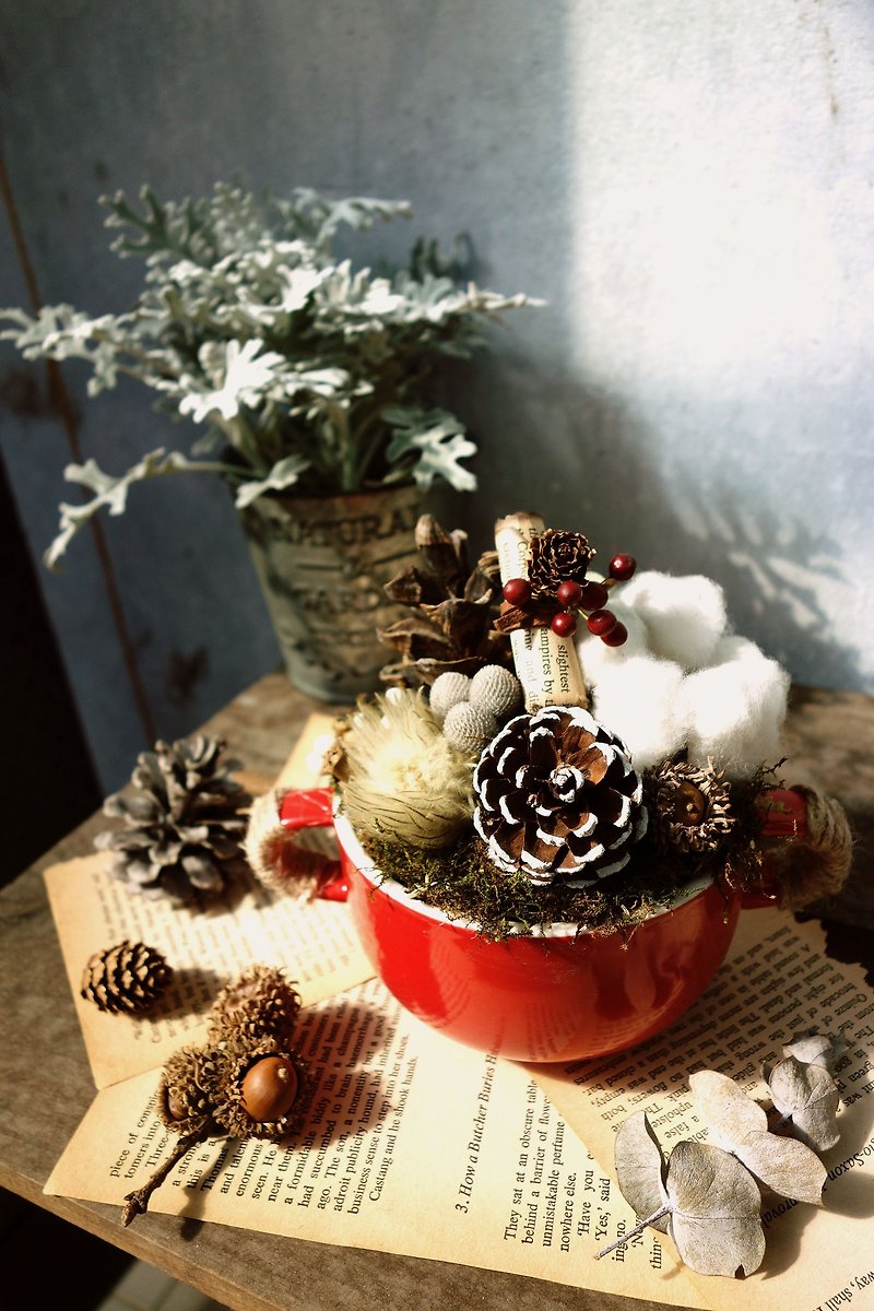 冬日限定 | 幸福圣诞松果杯杯花 - 植栽 - 植物．花 红色