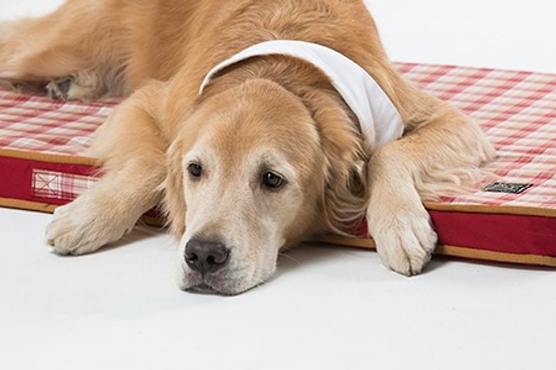 《Lifeapp》宠物缓压睡垫L (红格纹) 适用大型犬、长期照护、高龄W110 x D70 x H5cm - 床垫/笼子 - 其他材质 红色