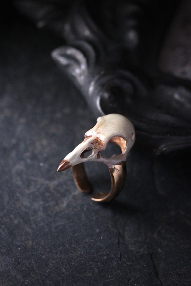 Bird Skull Ring - Handcraft Painted Version by Defy. - 戒指 - 其他金属 