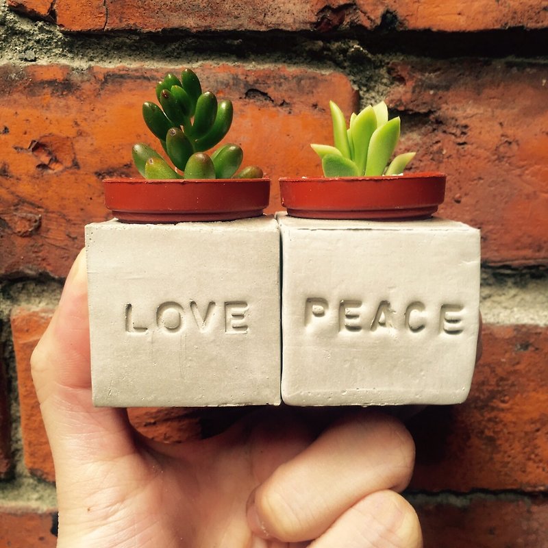 Love&Peace爱与和平//手作磁铁盆栽组 - 植栽/盆栽 - 水泥 灰色