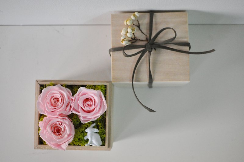 “Flower Box ”不凋玫瑰的小礼盒 - 植栽/盆栽 - 其他材质 粉红色
