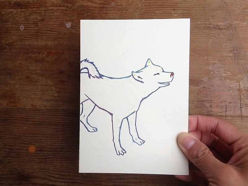 习惯明信片：：我们的小白狗 - 卡片/明信片 - 纸 白色
