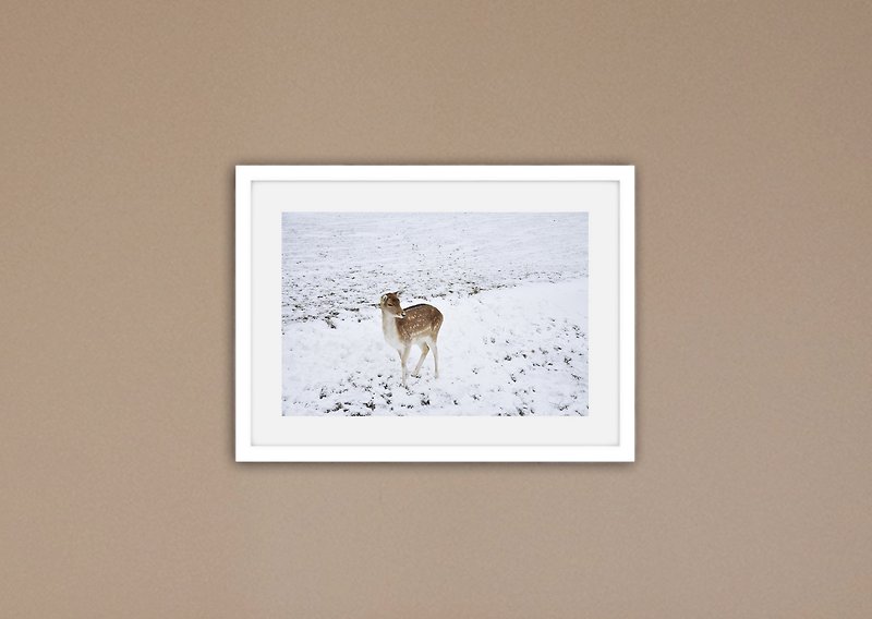 “摄影”鹿 (含框贩售) - 海报/装饰画/版画 - 纸 白色