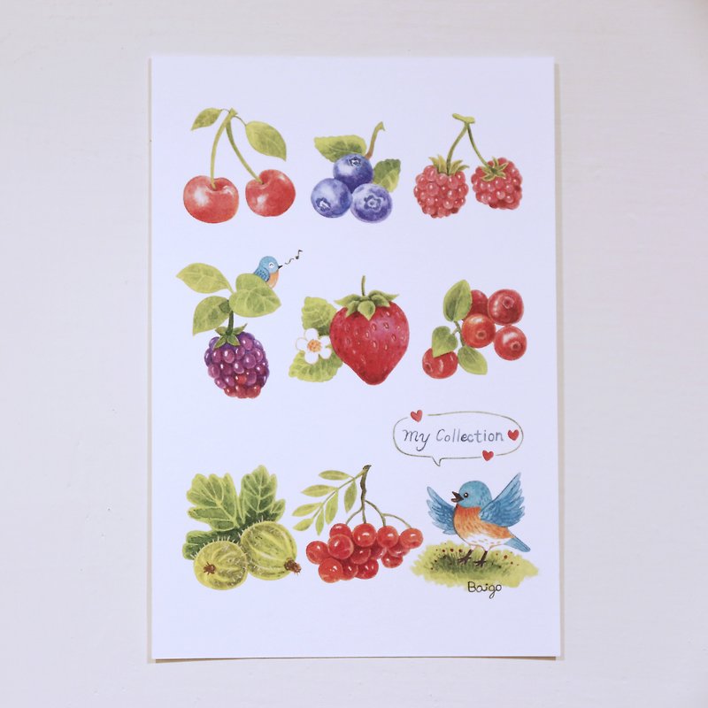 我的收藏品│青鸟莓果明信片 - 卡片/明信片 - 纸 