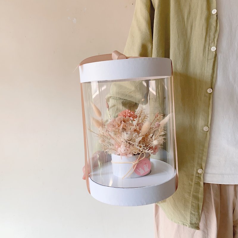 母亲节 康乃馨永生花透明花盒组 - 植栽/盆栽 - 植物．花 粉红色