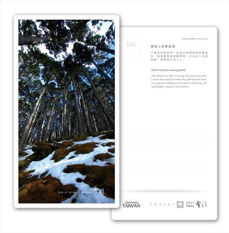 frog圣棱系列明信片  - Forest - 雪地上的黑森林 - 卡片/明信片 - 纸 
