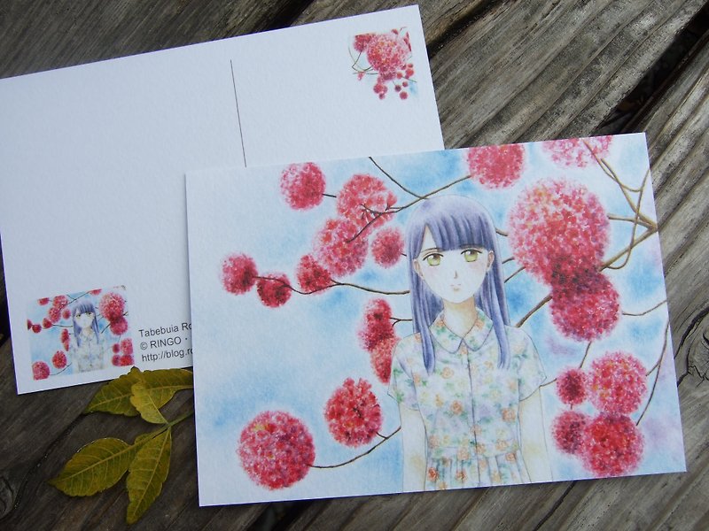 记忆中的洋红 洋红风铃木 少女手绘水彩插画人物画明信片 礼物卡 - 卡片/明信片 - 纸 粉红色