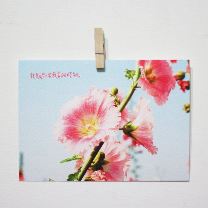我见过你最美的时刻 /Magai's postcard - 卡片/明信片 - 纸 粉红色
