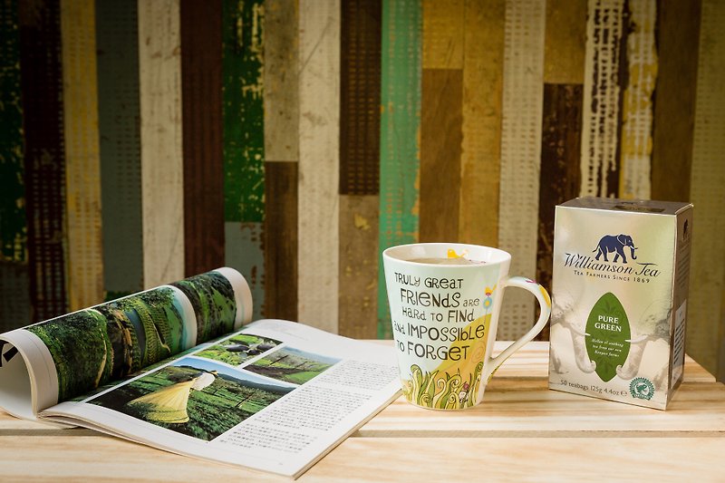 【绝版即期。买一送一】绿茶 / 圆片茶包系列(50个圆片茶包) - 茶 - 新鲜食材 绿色