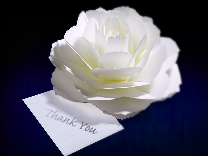 咲くようにひらく 花のサンキューカード〈ローズ〉　pop-up flower thank you card - 卡片/明信片 - 纸 白色