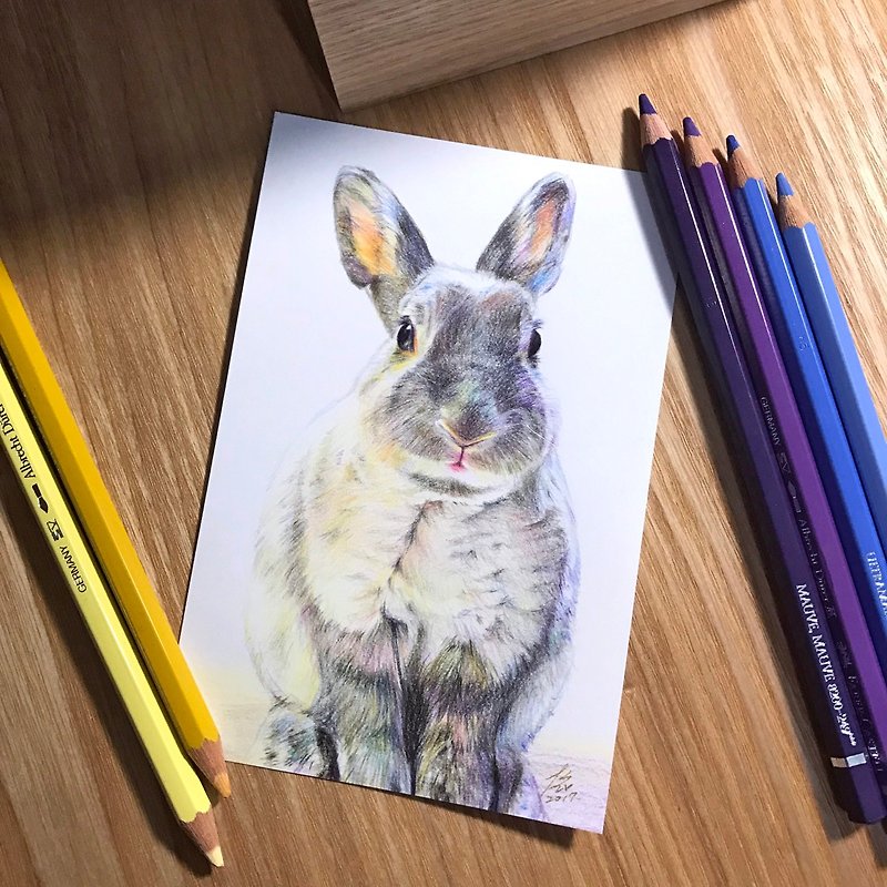 【色铅笔】4×6(寸) 宠物肖像-单只【请先私讯传照片再下单】 - 订制画像 - 纸 多色