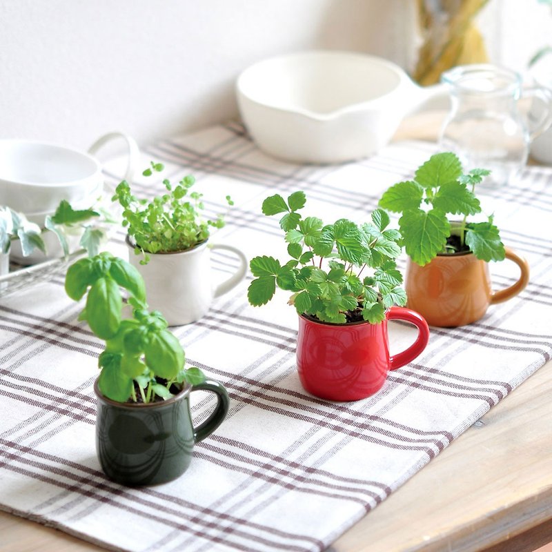 Verde Cafe - espresso造型种植盆器 / 咖啡杯 (四款) - 植栽/盆栽 - 陶 多色