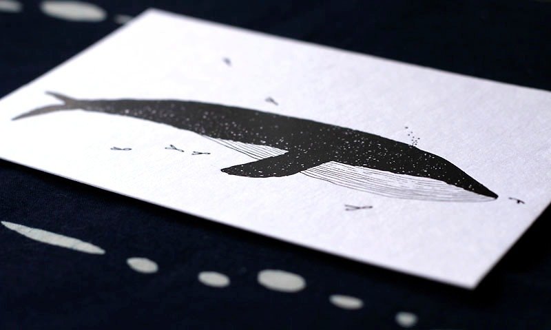 大鲸鱼明信片 - 卡片/明信片 - 纸 黑色