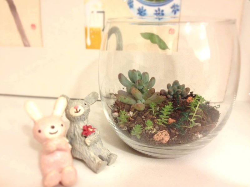 [植栽] 微温 Mini Greenhouse - 植栽/盆栽 - 玻璃 绿色