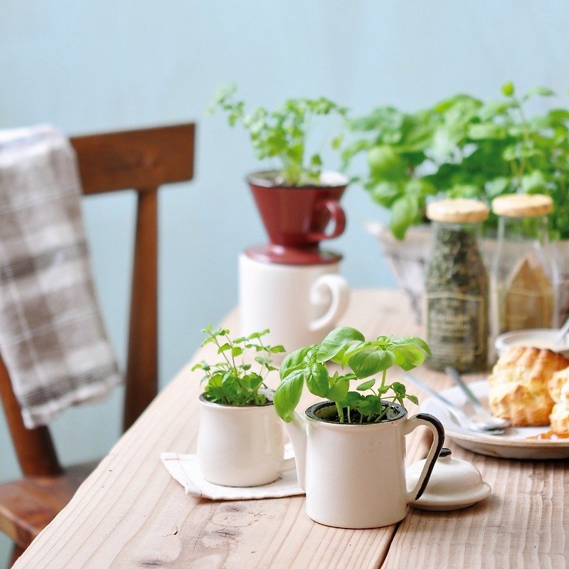 Verde Kitchen - KETTLE造型植栽盆器 / 咖啡茶壶(三款) - 植栽/盆栽 - 其他材质 多色
