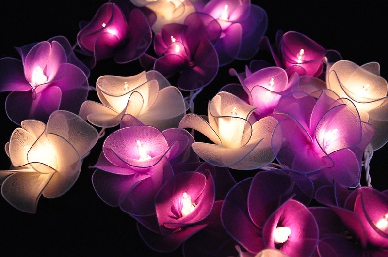20 Purple Flower String Lights for Home Decoration, Wedding, Party, Bedroom,Patio and Decoration - 灯具/灯饰 - 其他材质 