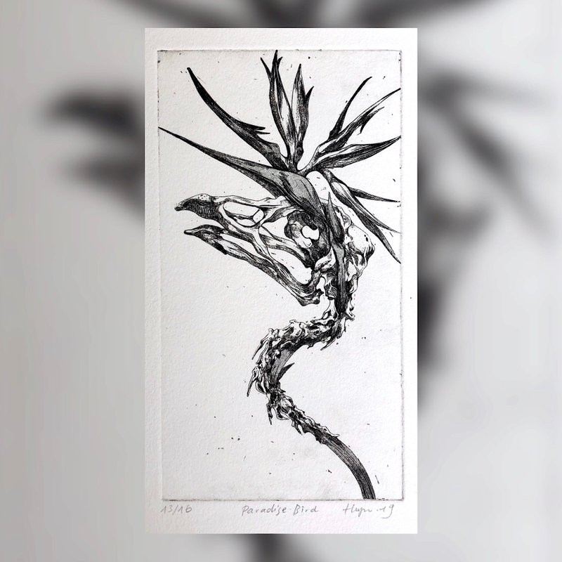 凹版限量版画 - 天堂鸟 - 海报/装饰画/版画 - 纸 黑色