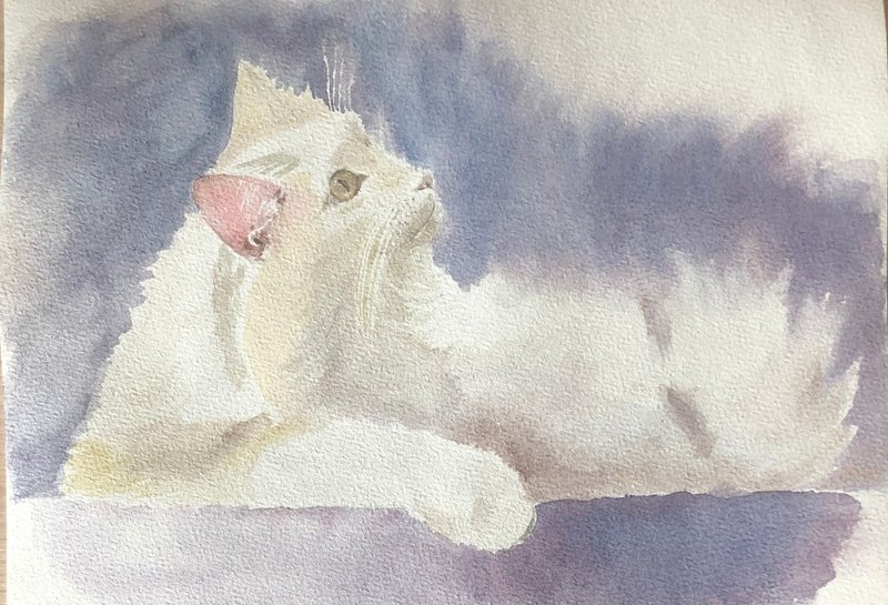 White Cat original watercolour painting animal portrait wall art - 墙贴/壁贴 - 纸 白色