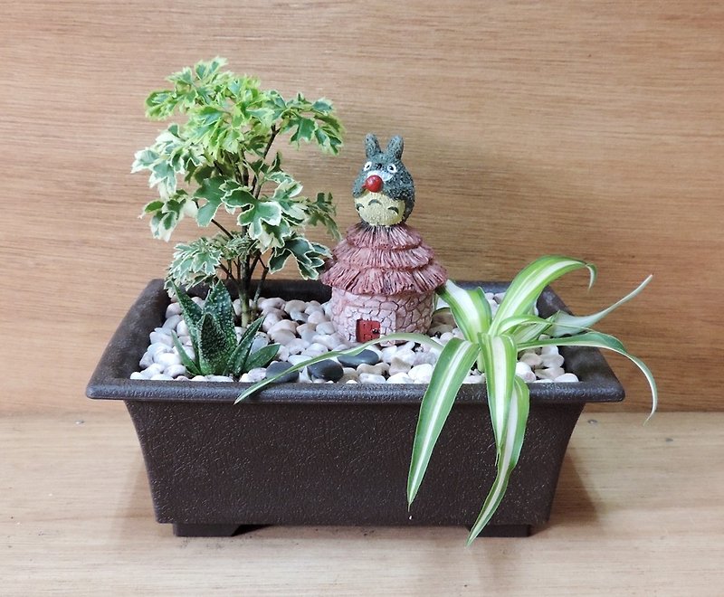日系小品赏 · 龙猫居 - 植栽/盆栽 - 植物．花 