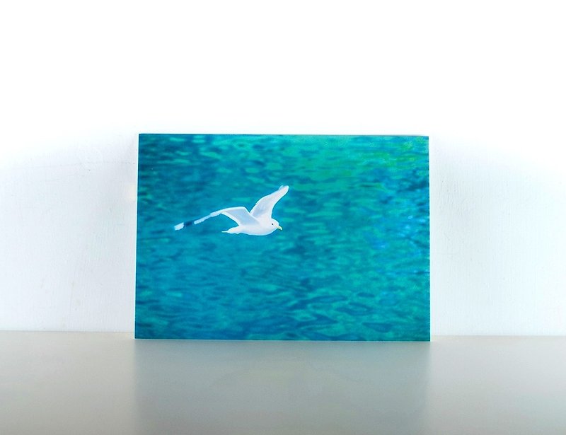 摄影明信片 | 飞翔的海鸥-峡湾之旅-挪威 - 卡片/明信片 - 纸 蓝色