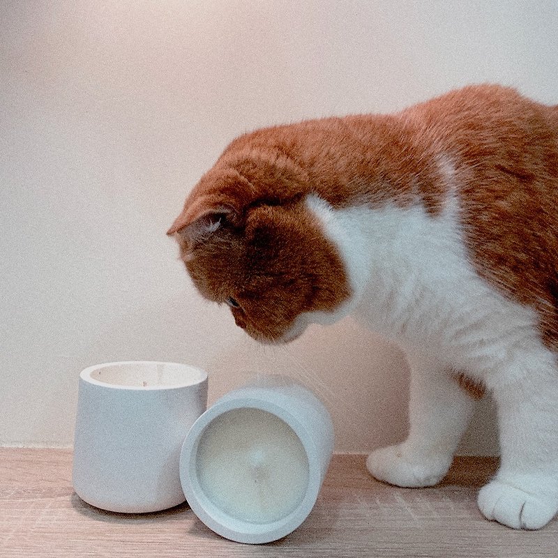Sakido 宠物友善蜡烛 150g 专为养猫族设计 NO.0618 呼噜呼噜 - 香薰/精油/线香 - 水泥 白色