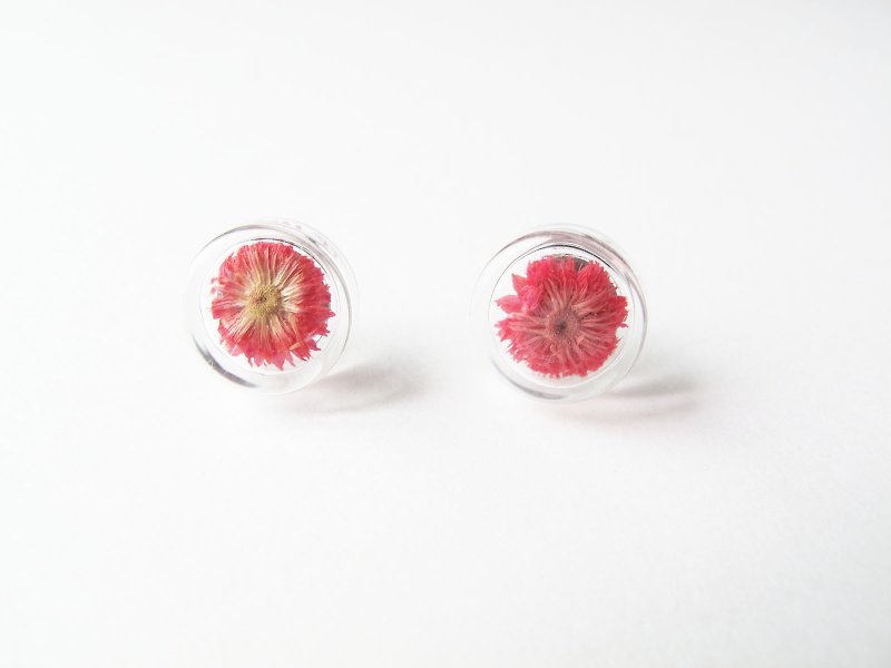 ＊Rosy Garden＊樱红色小香青干燥花圆形玻璃耳环 可换耳夹 - 耳环/耳夹 - 玻璃 红色