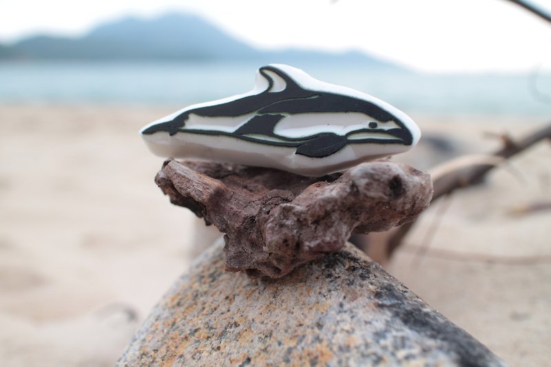 鲸豚印章 太平洋白侧斜纹海豚 - 印章/印台 - 橡胶 透明