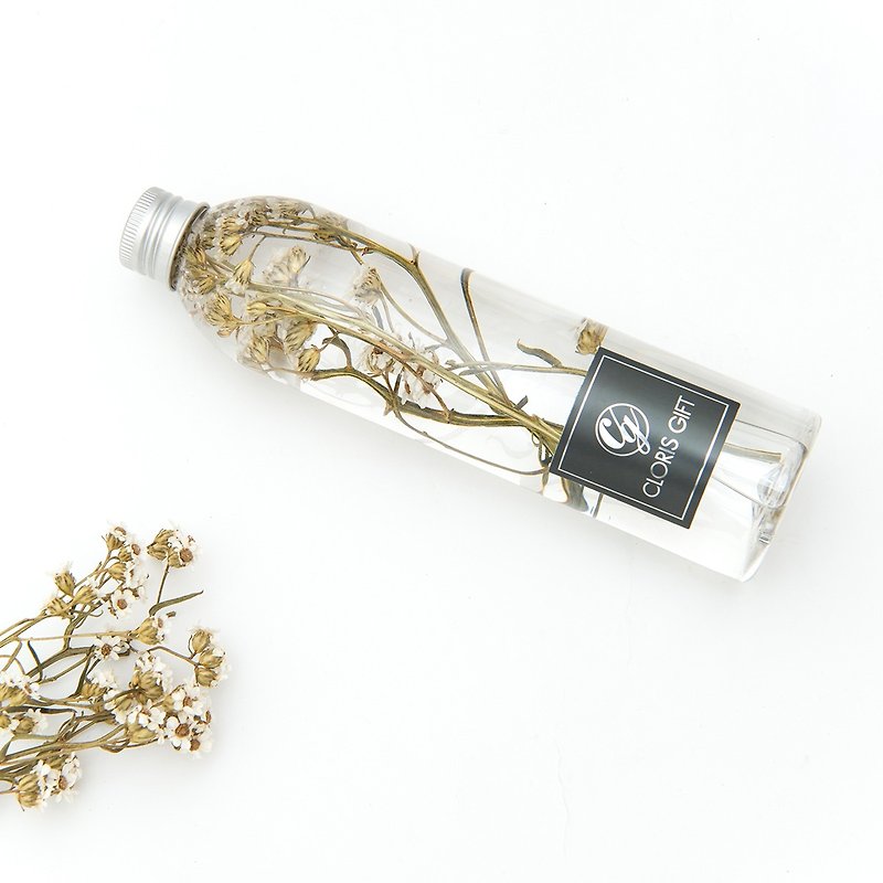 液态标本瓶系列 【巴黎铁塔约会】 - Cloris Gift 琉璃花 - 植栽/盆栽 - 植物．花 白色